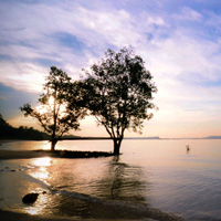 在线手机号压力测试